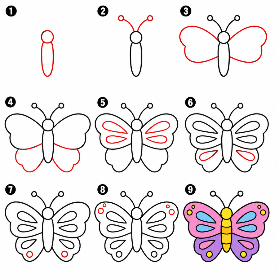 Big Butterfly Drawing Ideas
