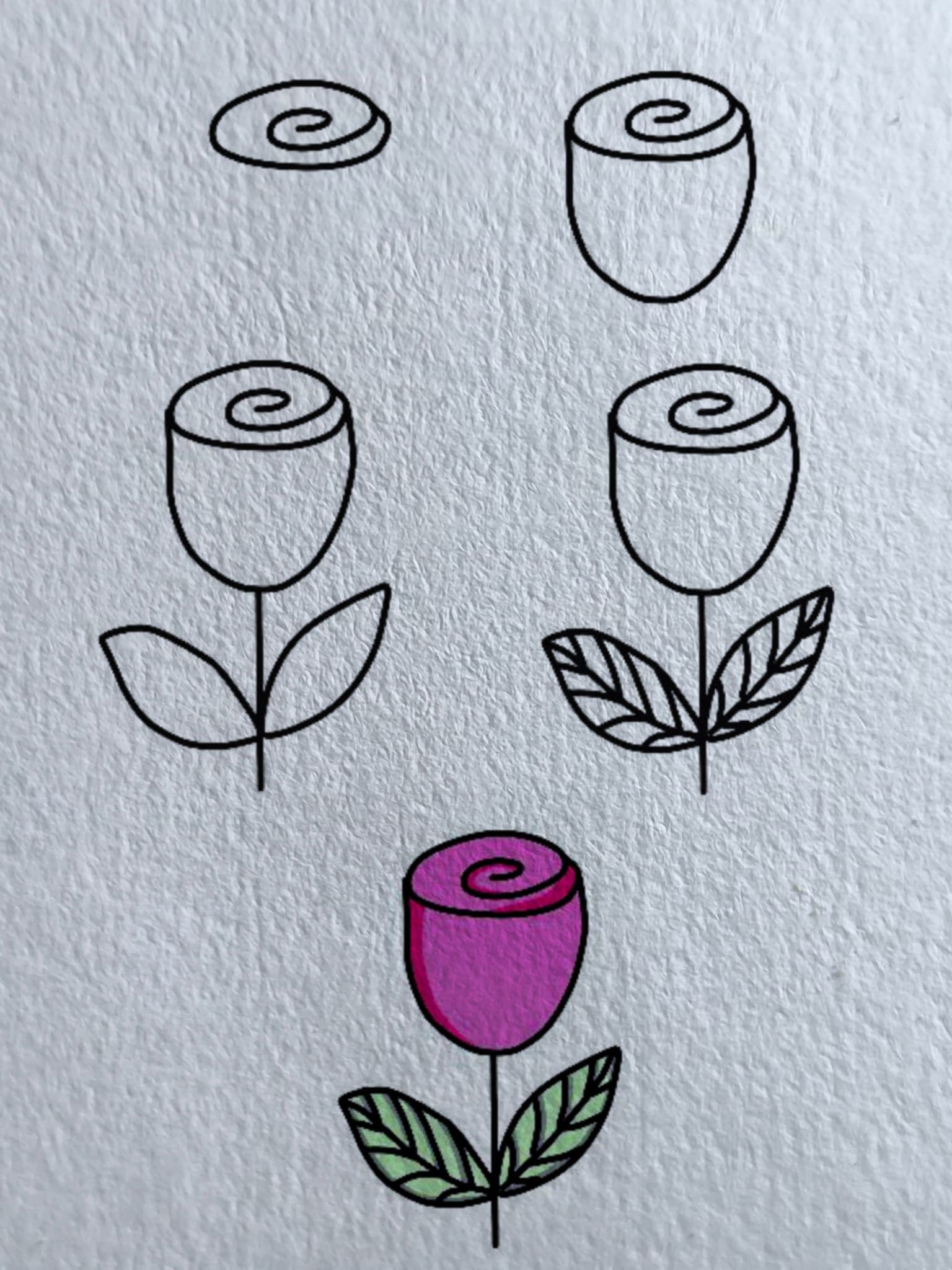 Easy way to draw a rose Drawing Ideas