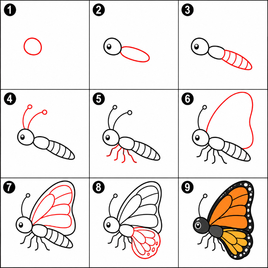 Orange Butterfly Drawing Ideas