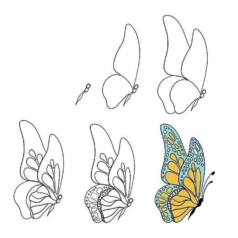 A Beautiful Butterfly Drawing Ideas
