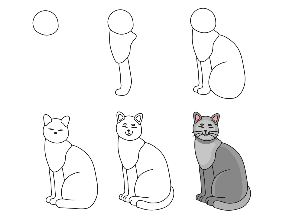 How to draw A Big Cat