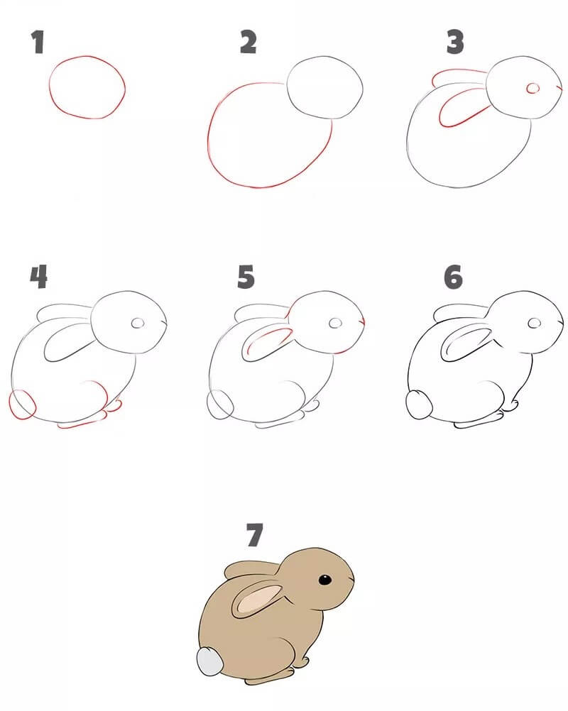 A Little Rabbit Drawing Ideas