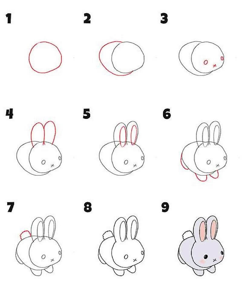 How To Draw A Lovely Rabbit Step By Step Drawing Photos