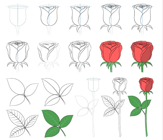 A rose branch Drawing Ideas