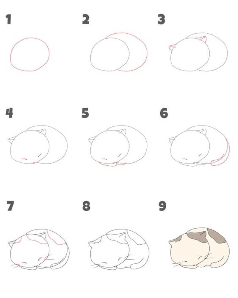 A Sleeping Cat Drawing Idea