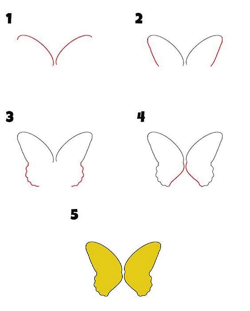 An Easy Butterfly Drawing Ideas