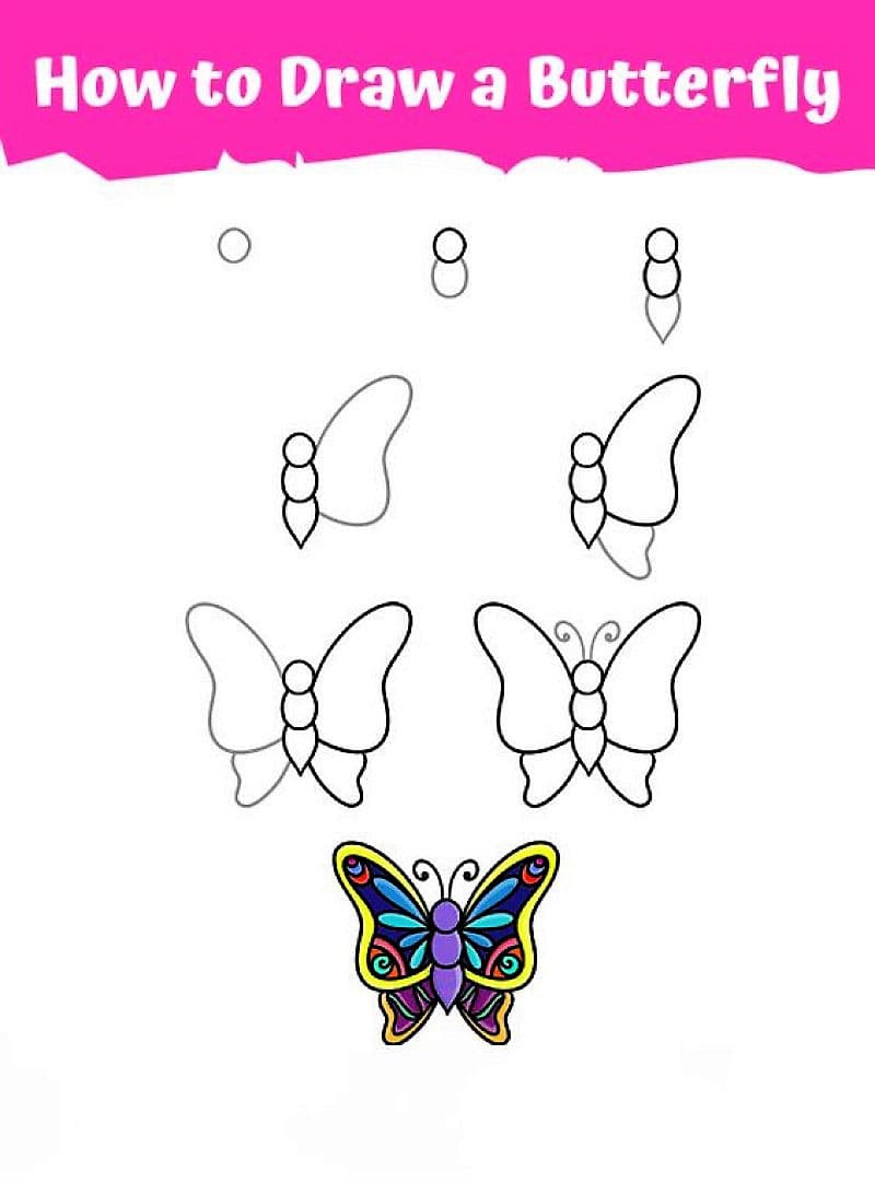 An Easy Colorful Butterfly Drawing Ideas