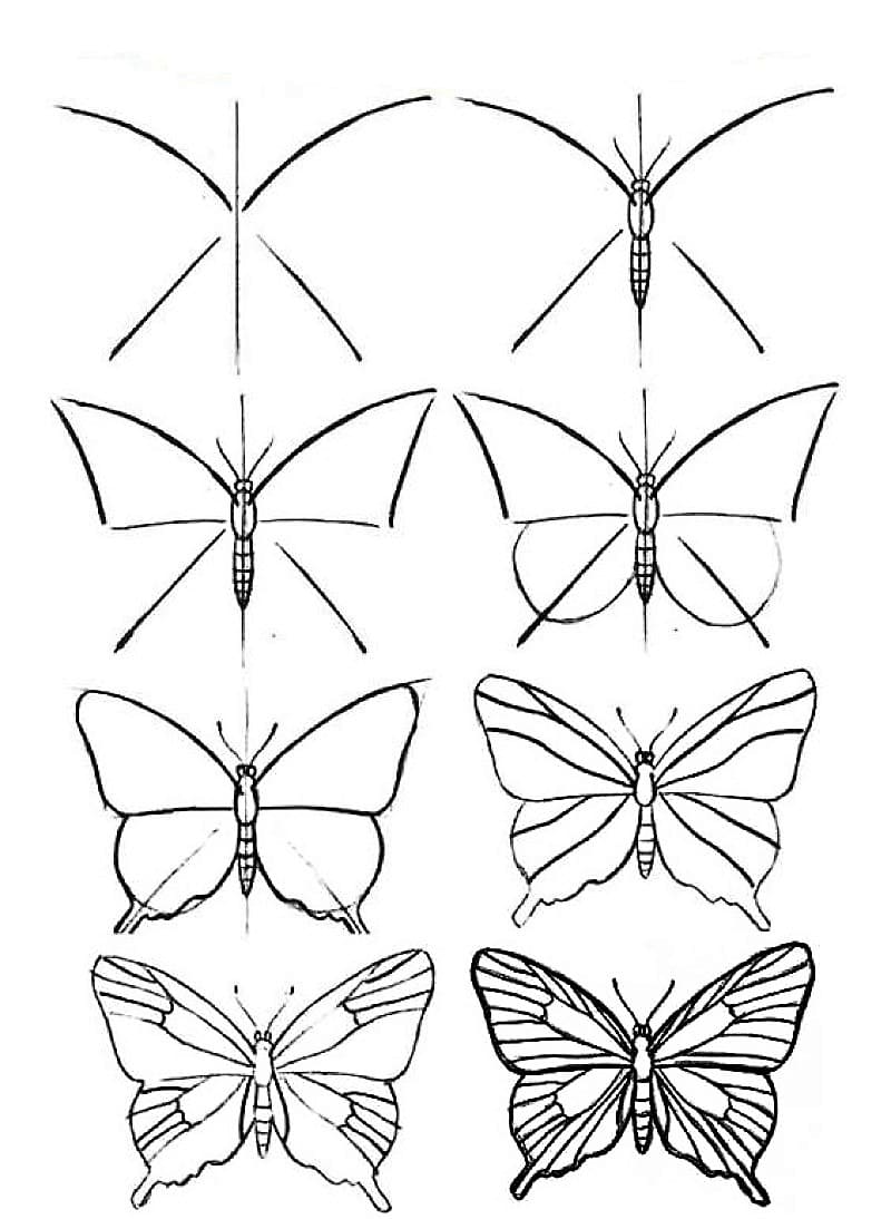 An Old Butterfly Drawing Ideas