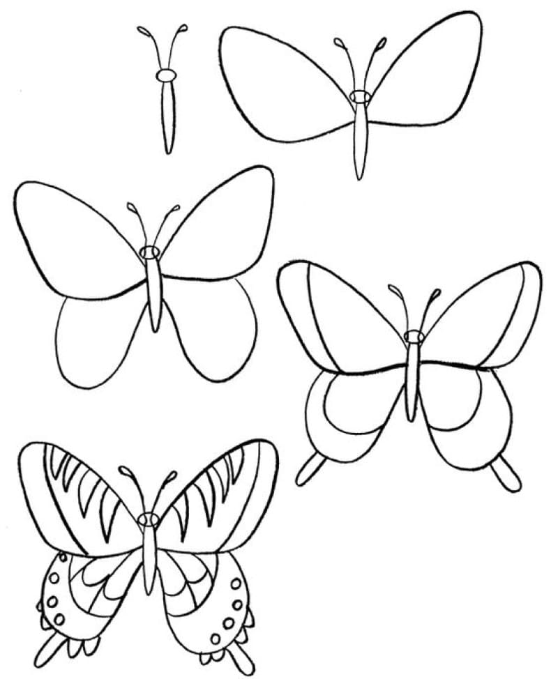 Butterfly for kids Drawing Ideas