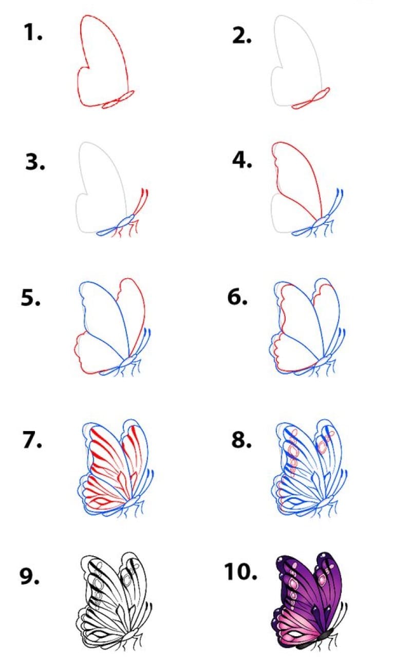 How to draw Butterfly Idea 11