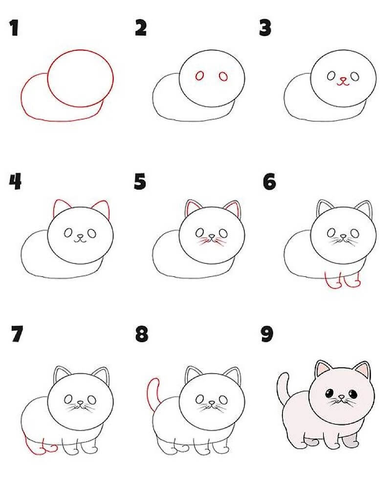 How to draw Cat Idea 15