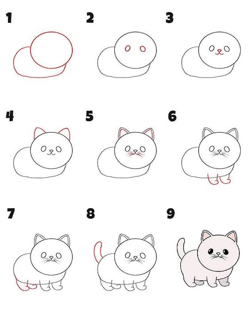 How to draw Cat Idea 15 step by step Drawing Photos