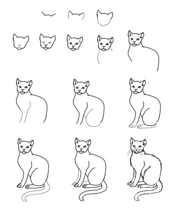 How to draw Cat idea (25)