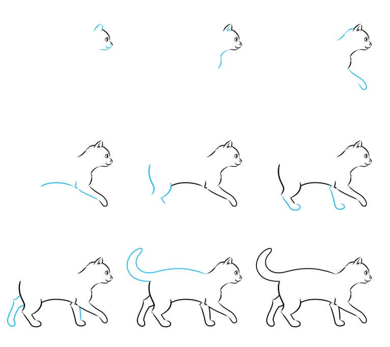 How to draw Cat idea (56)