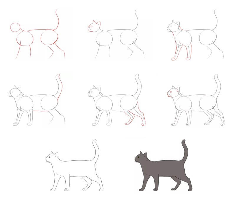 How to draw Cat idea (60)