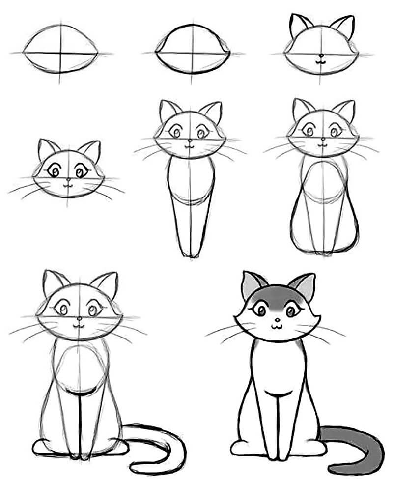 How to draw Cat Sketch Idea 2
