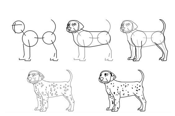 Dog idea (11) Drawing Ideas