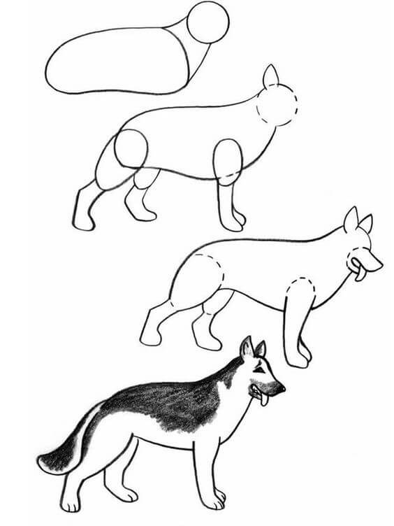 Dog idea (12) Drawing Ideas
