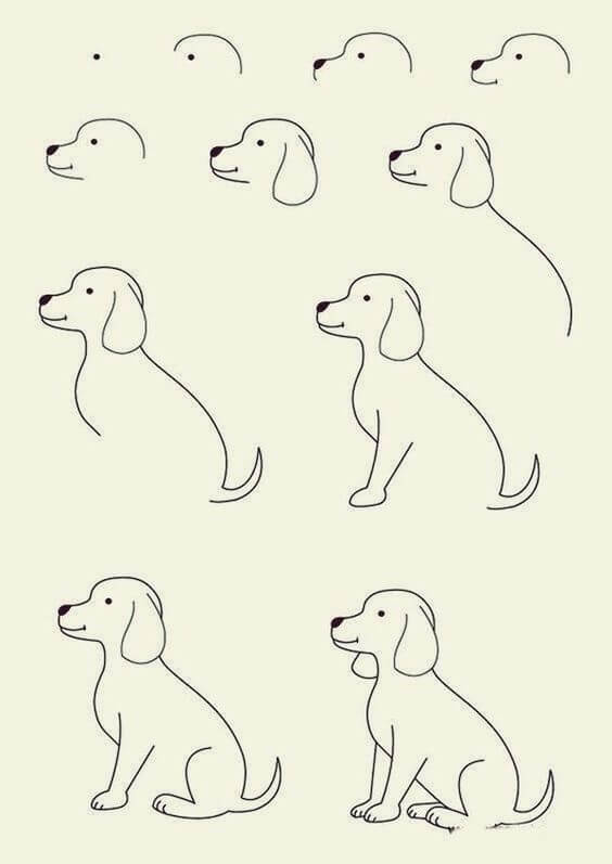 How to draw Dog idea (14)