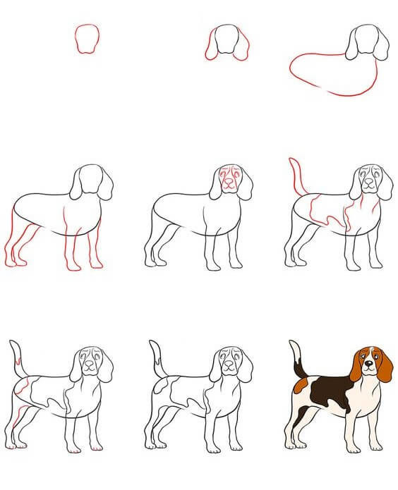 How to draw Dog idea (21)