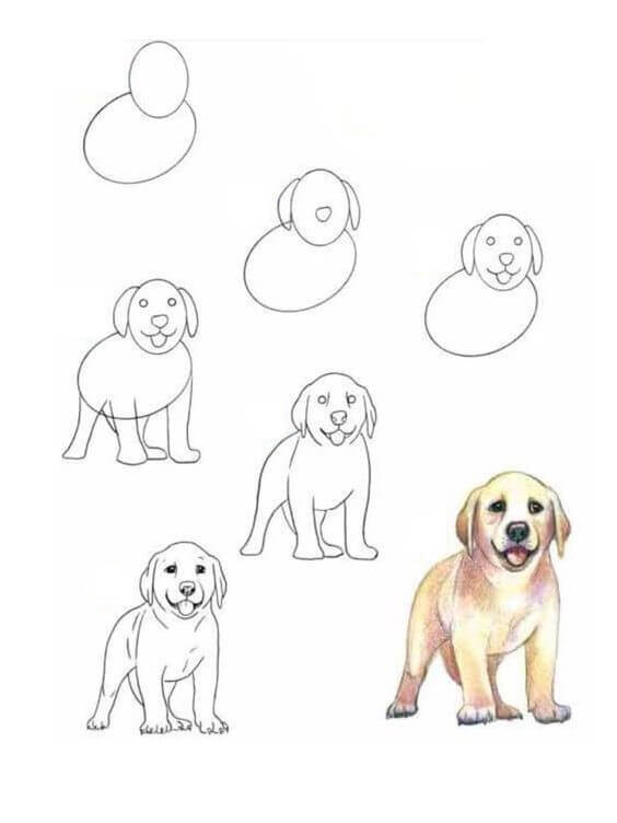 Dog idea (22) Drawing Ideas