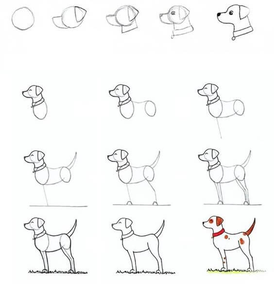 How to draw Dog idea (31)