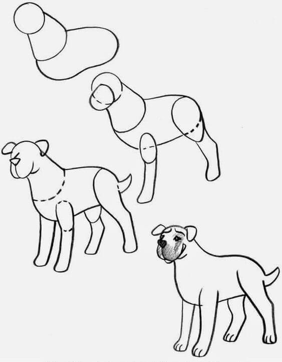 How to draw Dog idea (32)
