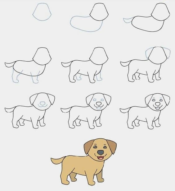 How to draw Dog idea (36)