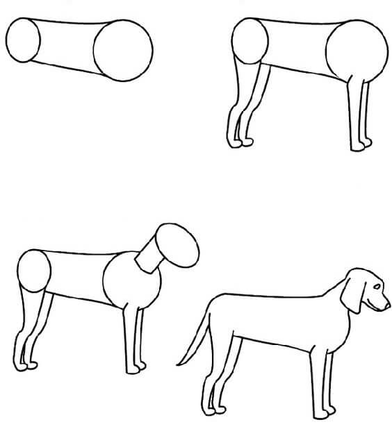 How to draw Dog idea (42)
