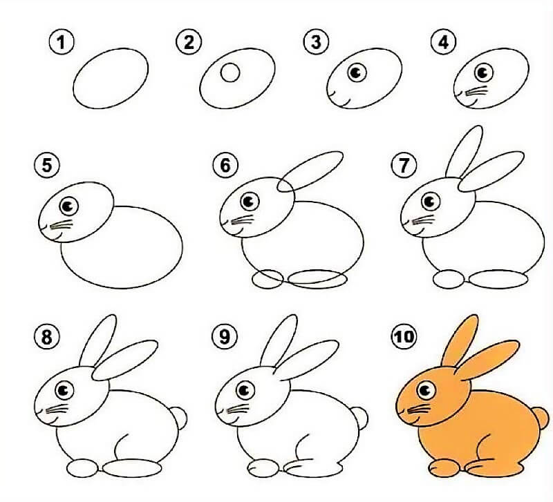 Rabbit Idea 10 Drawing Ideas
