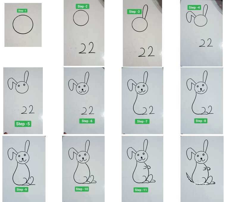 How to draw Rabbit idea 19