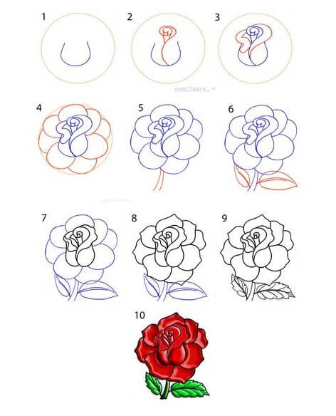 How to draw Roses idea (17)