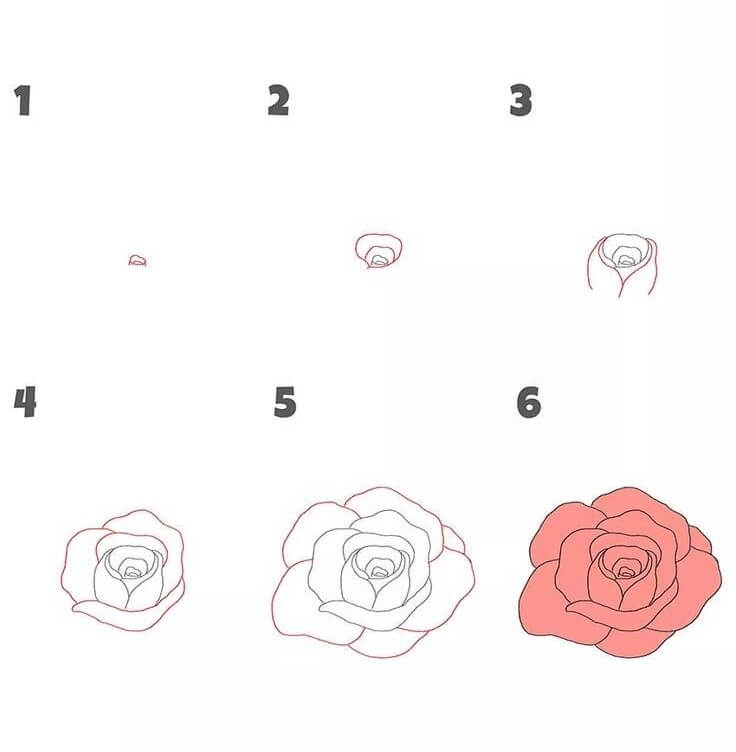 How to draw Roses idea (31)