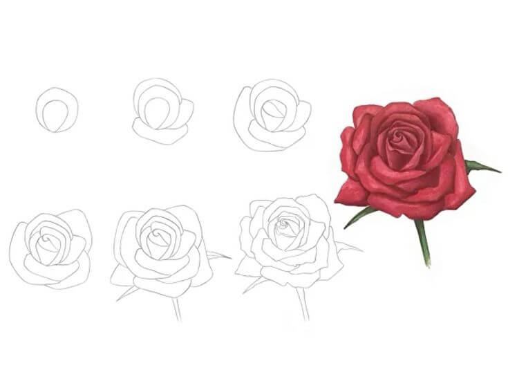 How to draw Roses idea (32)