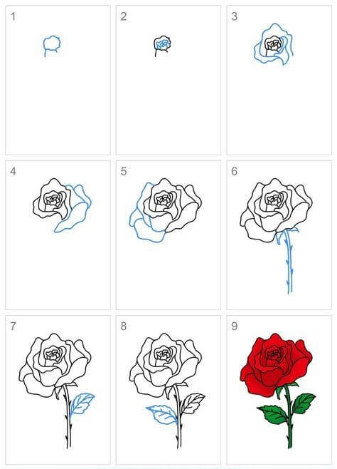 How to draw Roses idea (33)