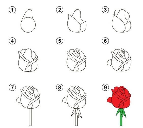 How to draw Roses idea (40)