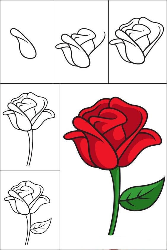 How to draw Roses idea (9)