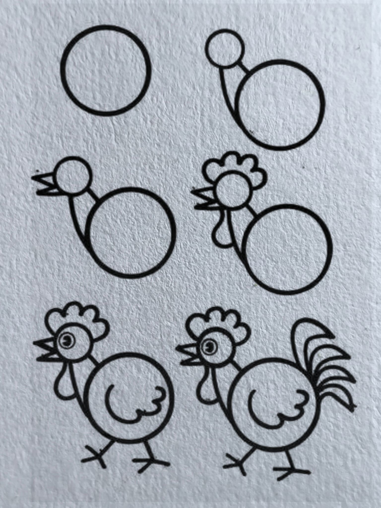 A simple Hen Drawing Ideas