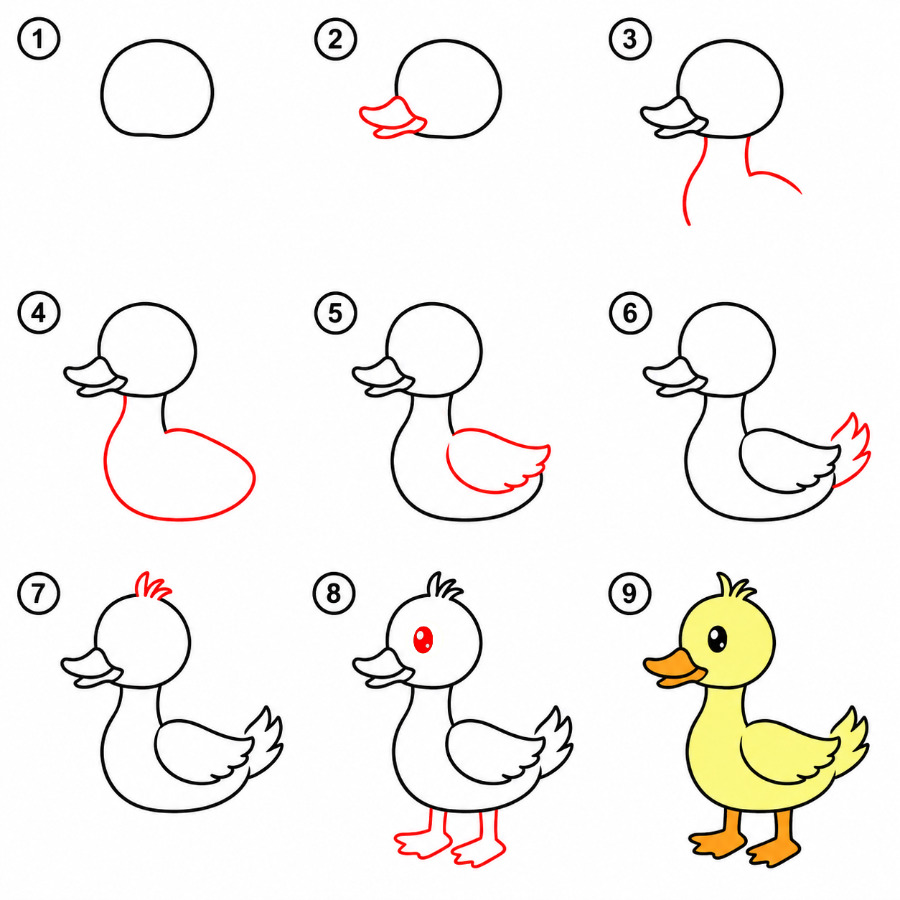 How to draw Baby duck
