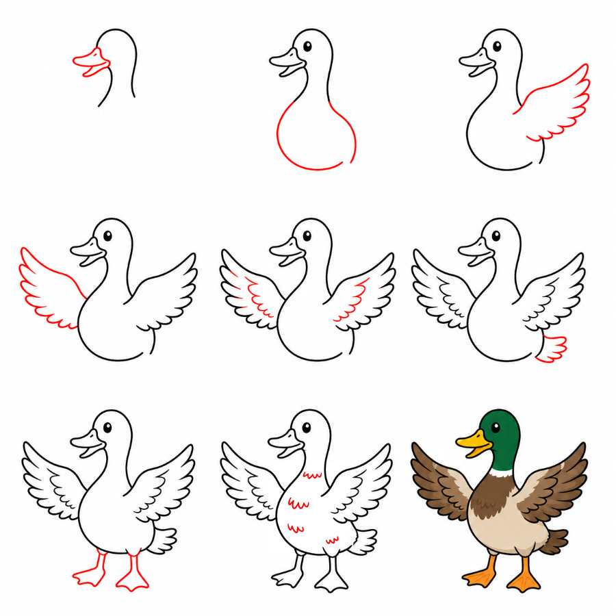 Duck open wings Drawing Ideas