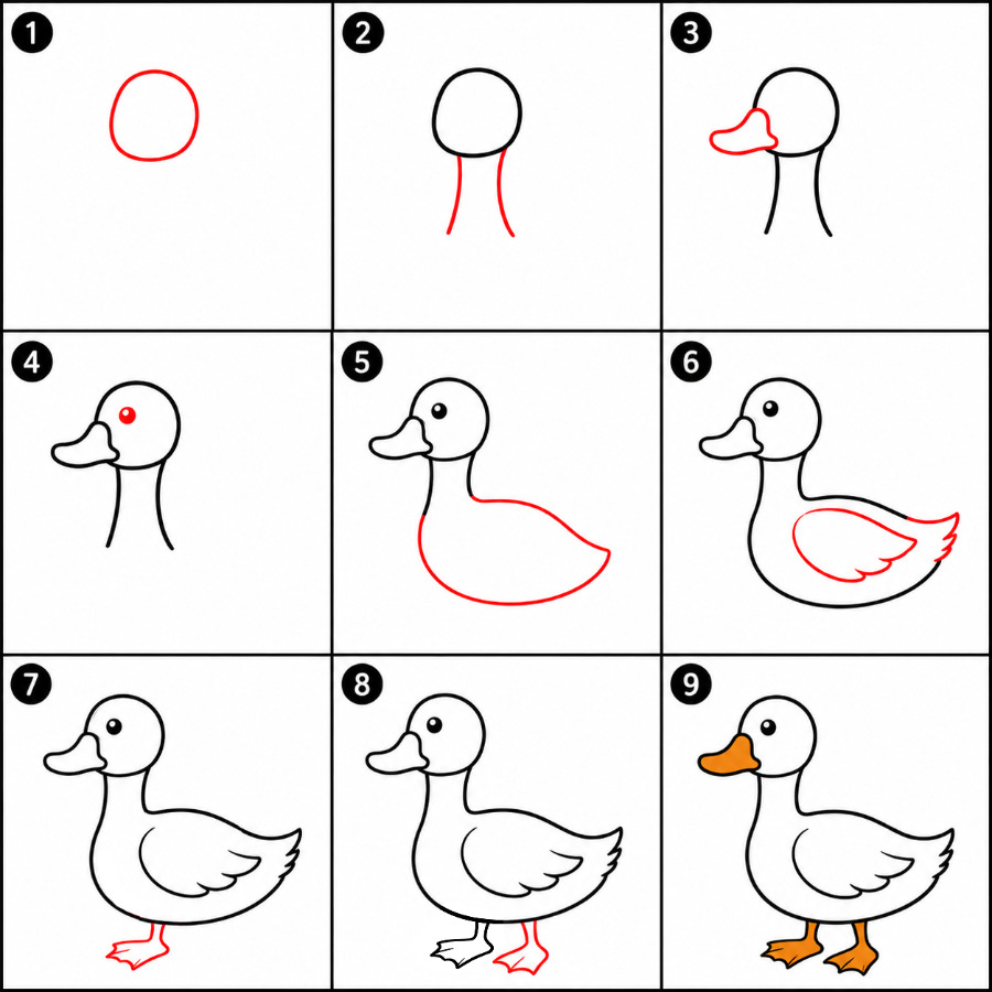 Free duck Drawing Ideas