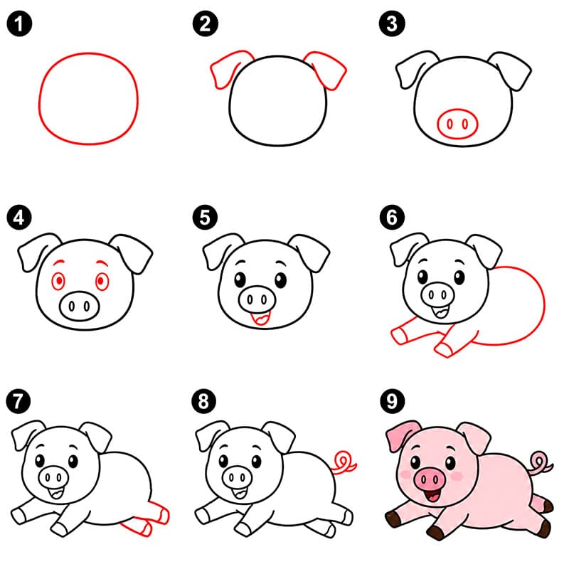 Jumping Pig Drawing Ideas