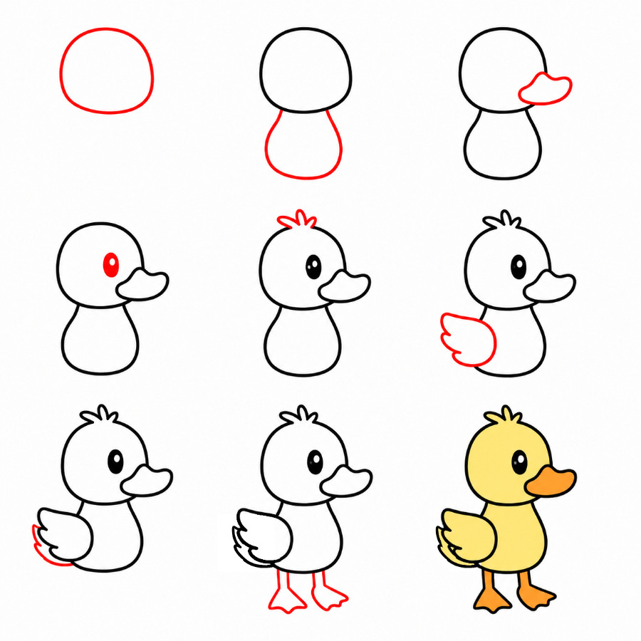 How to draw Little duck
