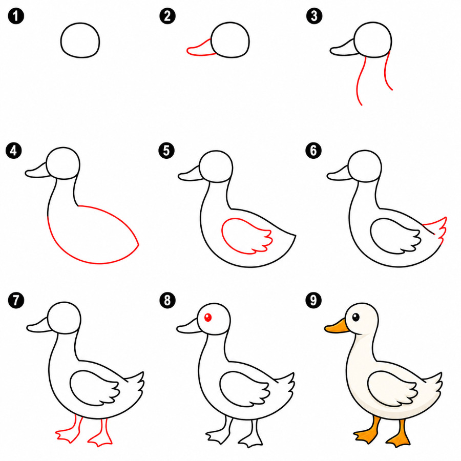 Simple duck Drawing Ideas