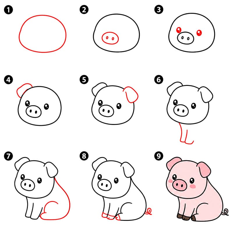 Sitting pig Drawing Ideas