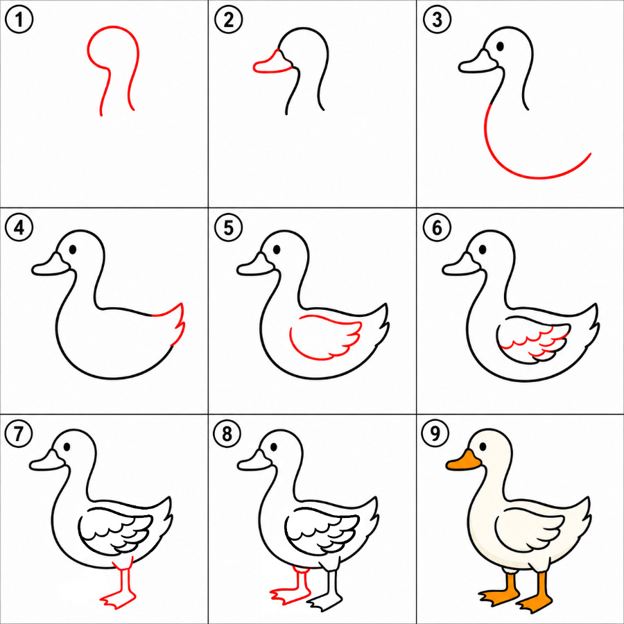 How to draw Standing duck