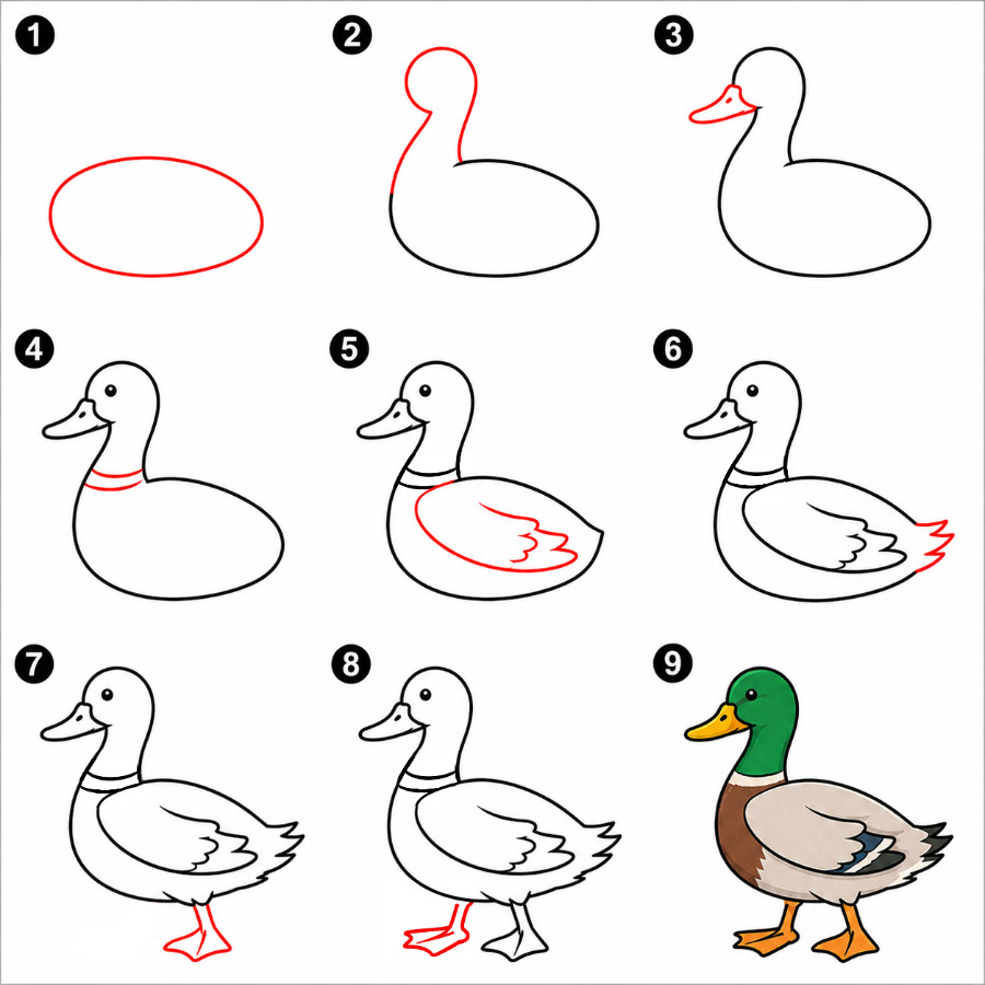 Wild duck Drawing Ideas