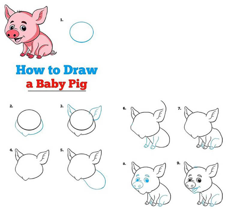 A Baby Pig Drawing Ideas