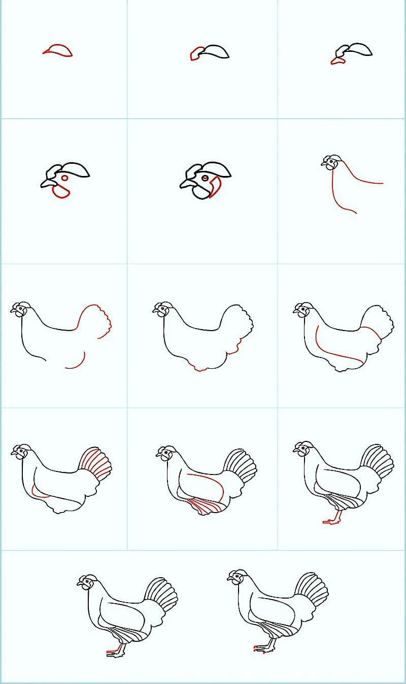 A Beautiful Chicken Drawing Ideas