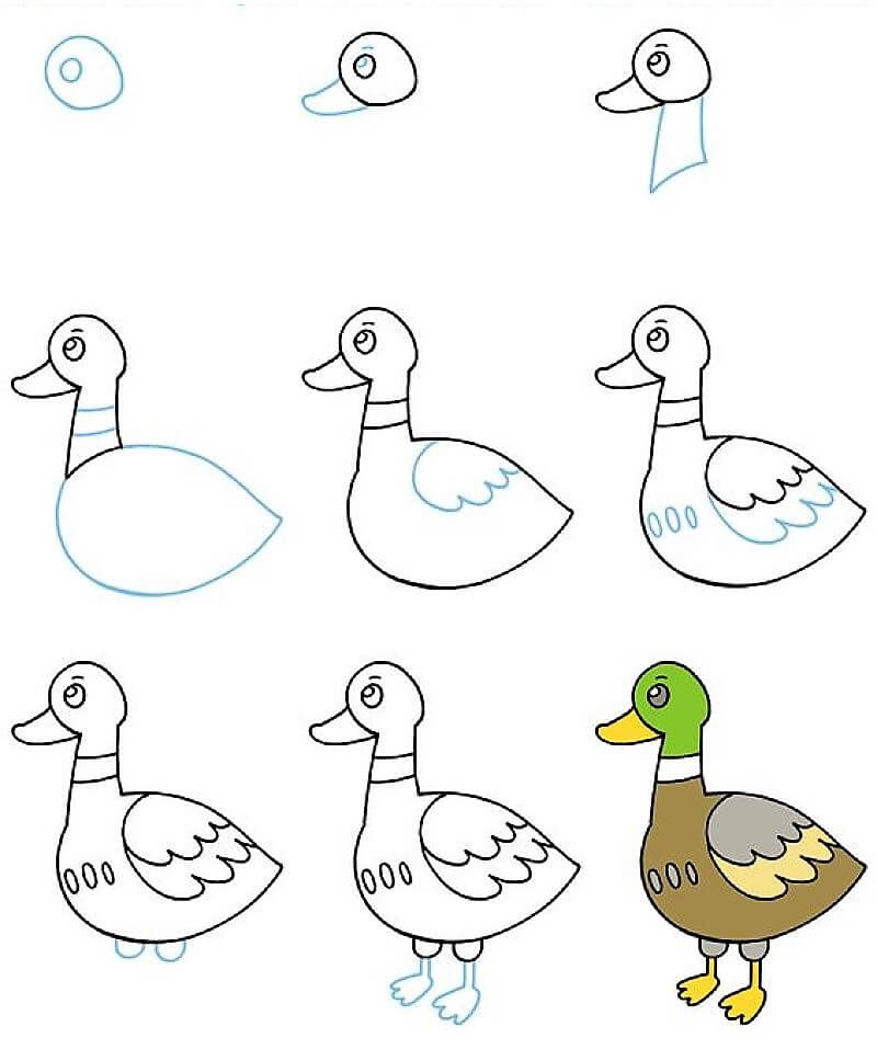 A Beautiful Duck Drawing Ideas